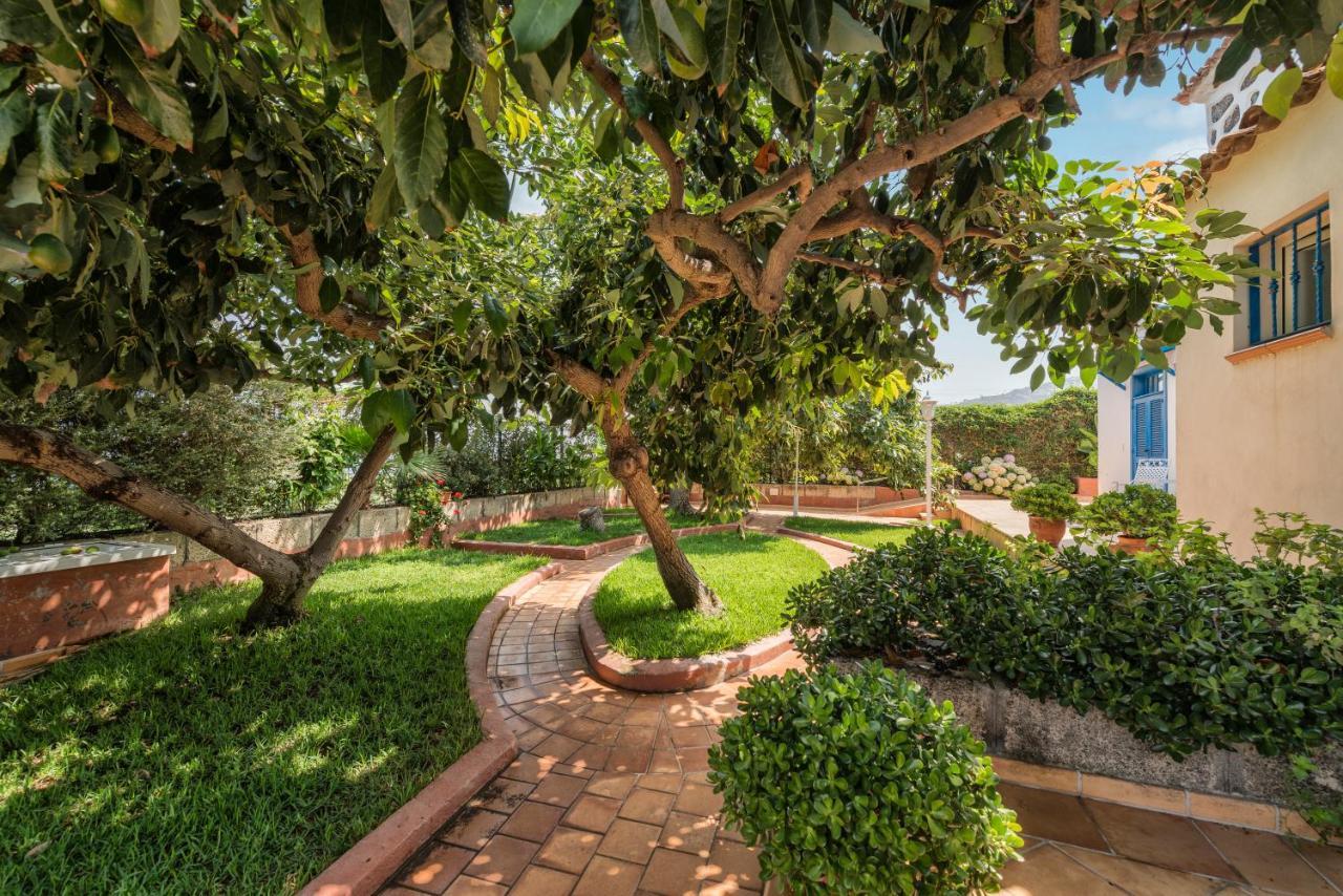La Hacienda Grande Daire Puerto de la Cruz  Dış mekan fotoğraf