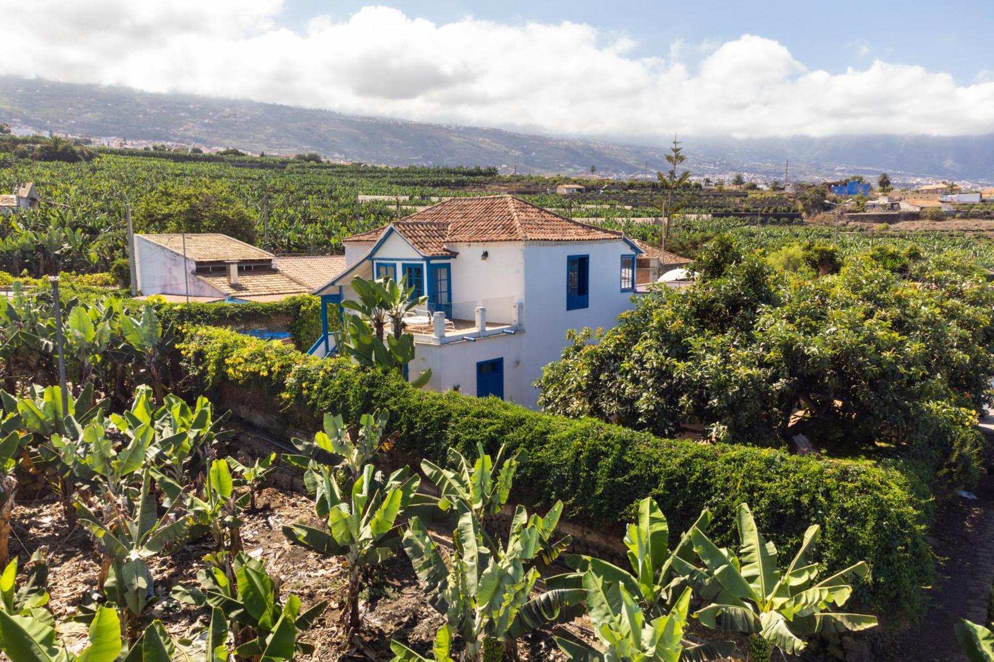 La Hacienda Grande Daire Puerto de la Cruz  Dış mekan fotoğraf